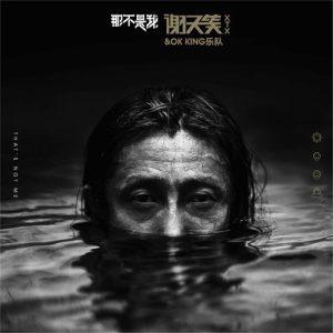 谢天笑【那不是我】整张专辑【高品质MP3+无损FLAC-532MB】百度网盘下载-28音盘地带