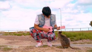 周杰伦【粉色海洋】无水印车载高清MV【1080P-66MB】百度网盘下载-28音盘地带