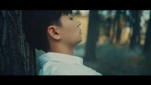 姚六一【雾里】无水印高清音乐MV【1080P-MP4-96MB】百度网盘下载-28音盘地带