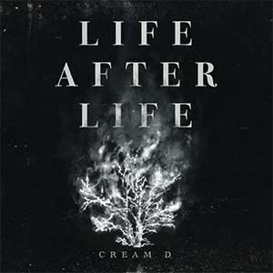 CREAM D【LIFE AFTER LIFE】首张个人专辑【高品质MP3+无损FLAC-566MB】百度网盘下载-28音盘地带