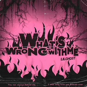 Lil Ghost小鬼【What’s Wrong With Me (Punk Version)】全新单曲【高品质MP3+无损FLAC-35MB】网盘下载-28音盘地带