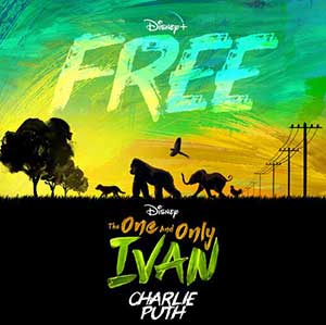 Charlie Puth【Free (From Disney’s-28音盘地带
