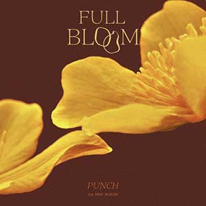 PUNCH【Full Bloom】全新专辑【高品质MP3+无损FLAC-243MB】百度网盘下载-28音盘地带