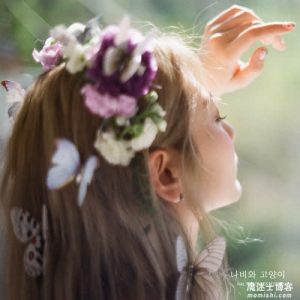 脸红的思春期-伯贤【나비와 고양이(蝴蝶与猫)】全新单曲【高品质MP3+无损FLAC-28MB】百度网盘下载-28音盘地带