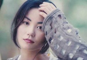 王菲【1985-2022】所有音乐歌曲专辑全合集【高品质MP3+无损FLAC-WAV-APE分轨-23.06GB】百度网盘下载-28音盘地带