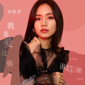 刘惜君【我是爱过你】【高品质MP3+无损FLAC-43.3MB】百度网盘下载-28音盘地带