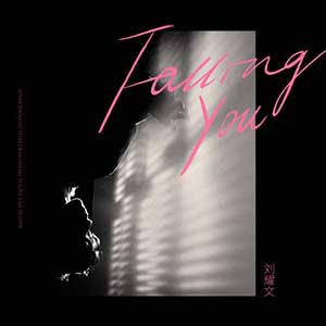 刘耀文【Falling You】【高品质MP3+无损FLAC-259MB】网盘下载-28音盘地带
