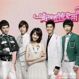 【一起来看流星雨 OST】电视剧原声音乐大碟【高品质MP3+无损FLAC-365MB】百度网盘下载-28音盘地带