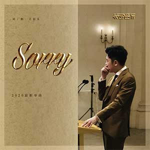 王以太【Sorry】全新单曲【高品质MP3+无损FLAC-58MB】百度网盘下载-28音盘地带