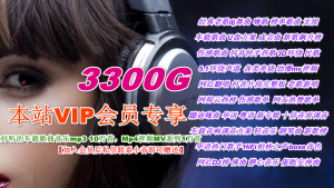 网站VIP会员详情-28音盘地带