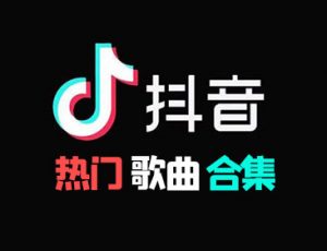 2024年09月《抖音热歌榜排行674首》最新最火热门歌曲整理[高品质MP3/320K/5.25GB]百度云网盘下载-28音盘地带